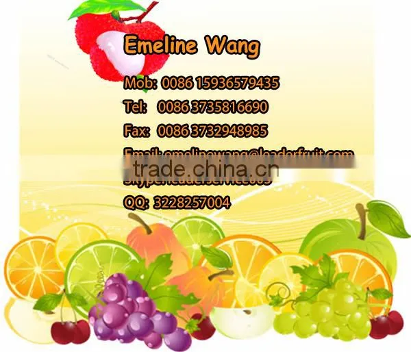 Leader new design potato processing machine Skype:leaderservice005