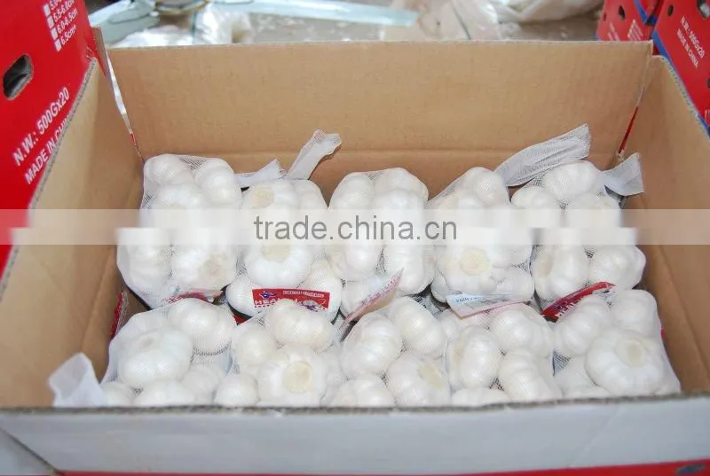 Chinese White Frozen Garlic