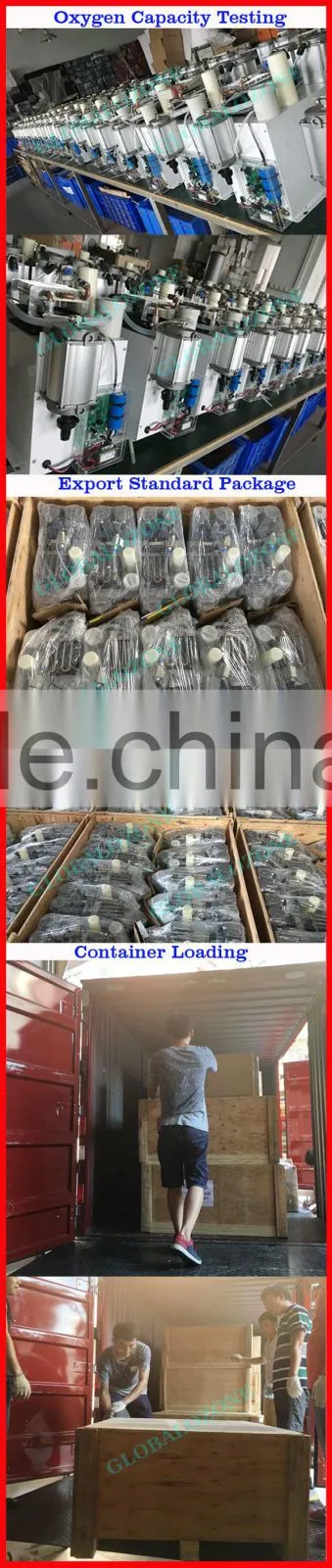veterinary equipment PSA oxygen generator