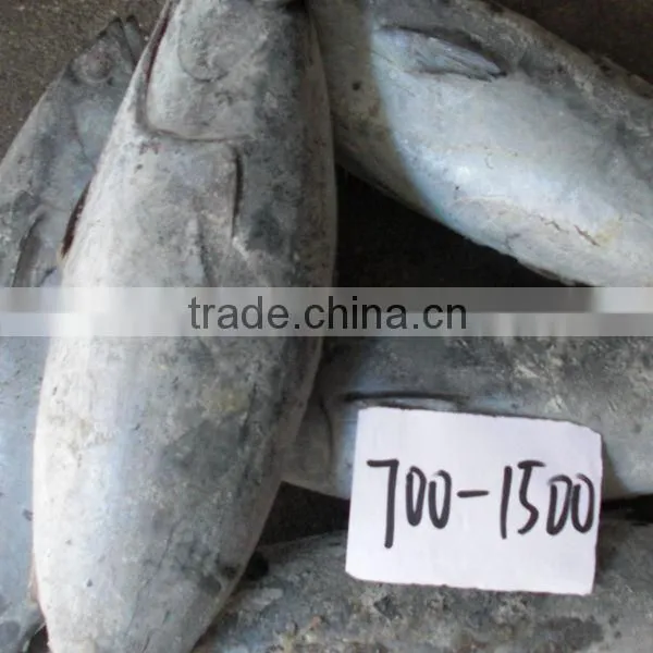 frozen bonito fish bonito powder on sale
