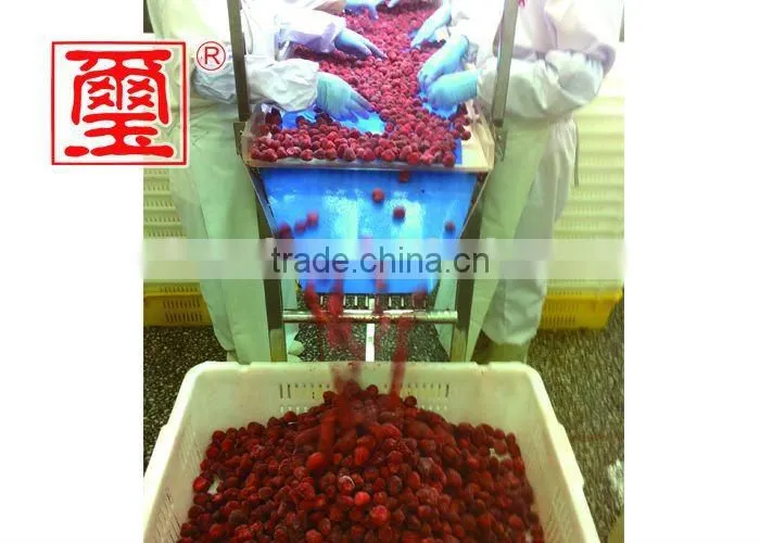 2016 top grade quality frozen strawberry