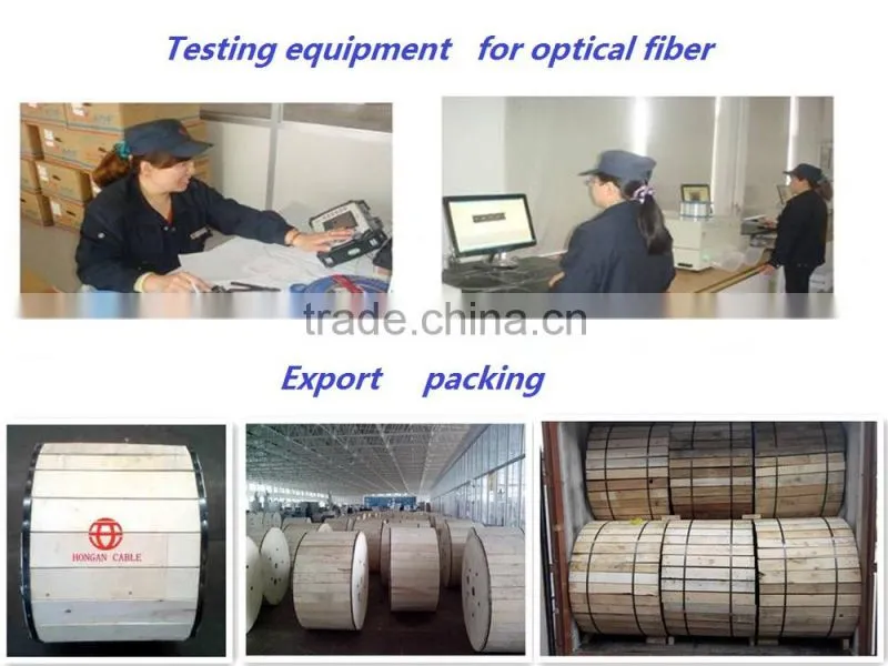 2015 Hot sell 2 Core/ 216 Core SM or MM Fiber Optics Cable -GYTY53
