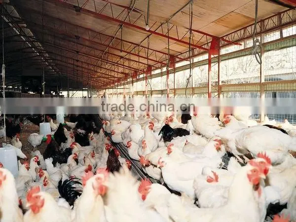 poultry electric hot blast heater for chicken/duck