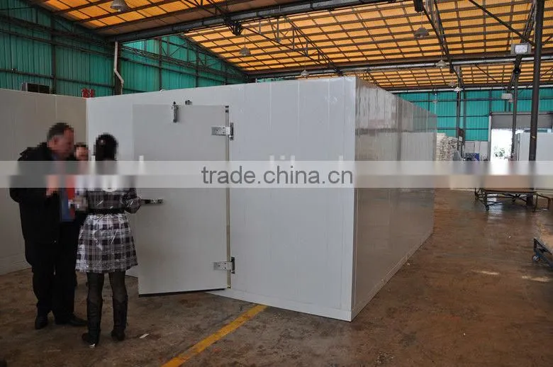 Modular standard cold room model DCWF-20 capacity 20m3