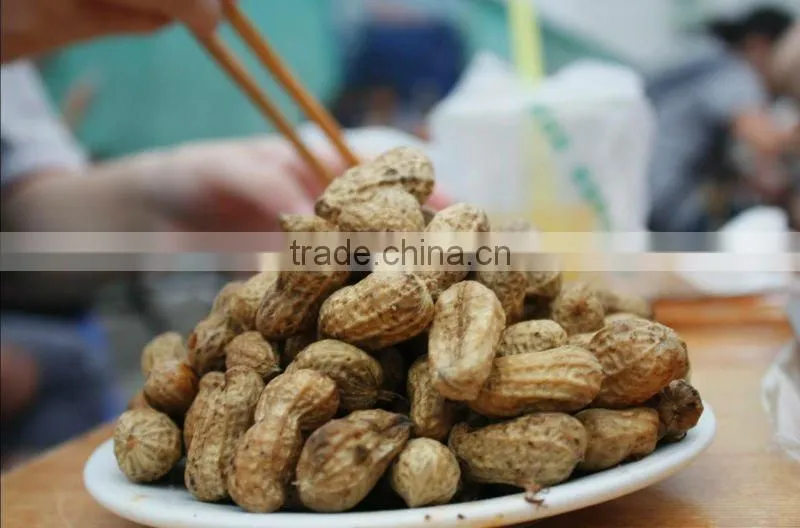 roasted peanut in shell for recipes
