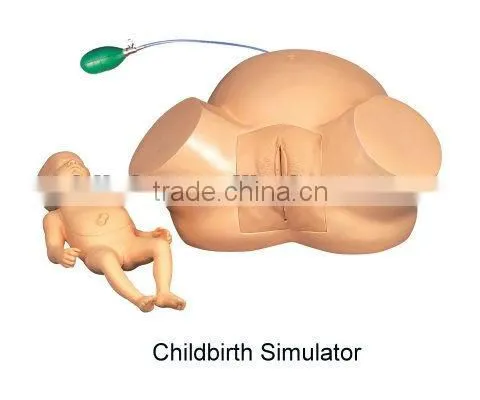 Childbirth Simulator