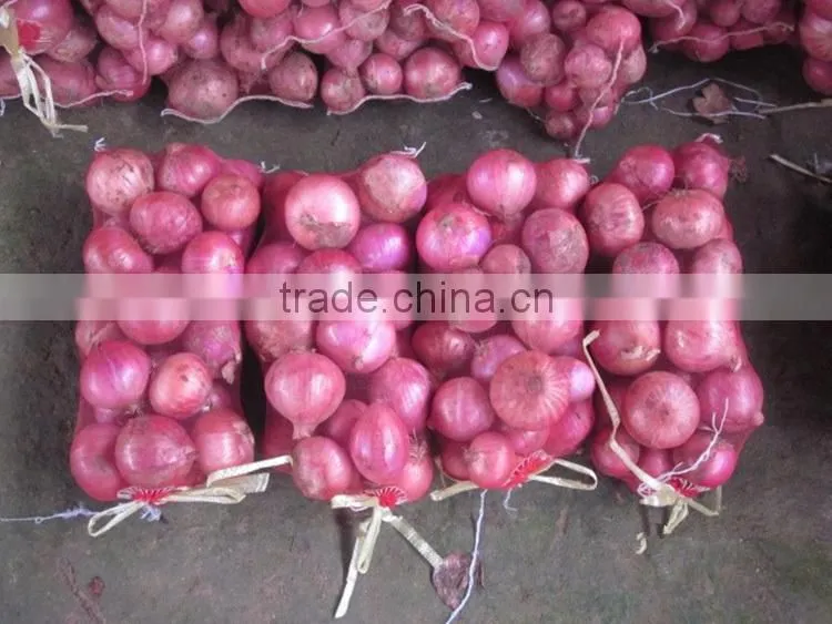 fresh onion on sale in this hot season before new year with high quality and reasonable price