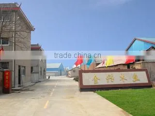 Linyi Jinxing Plywood Factory company overview - view 2