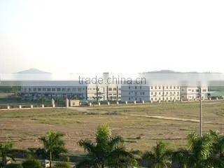 Wisdom Electronics (Huizhou) Co., Ltd. company overview - view 2