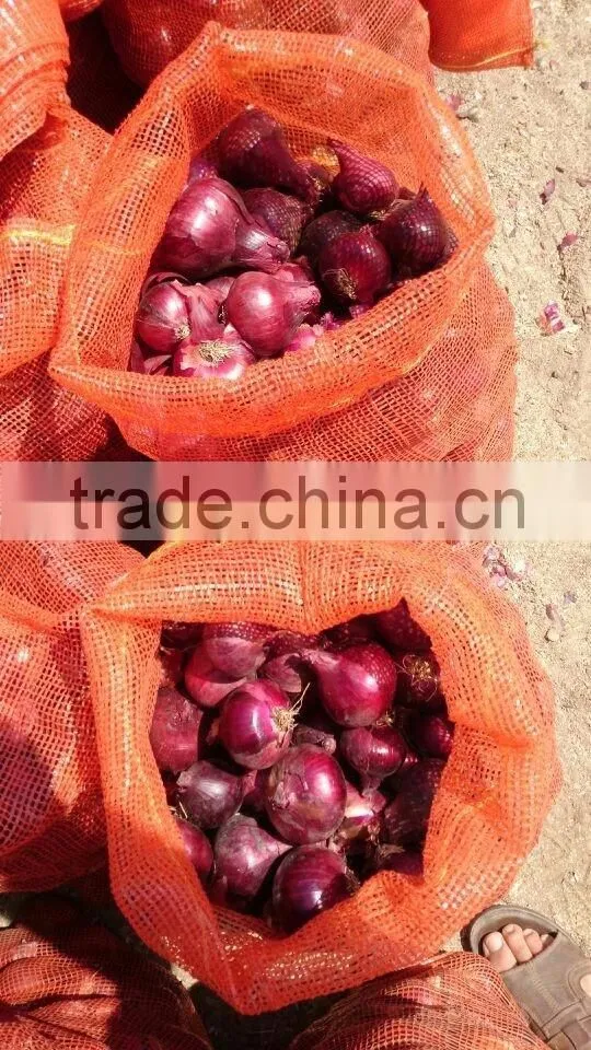 Giving you a healthy Life From The Egyptian Onion