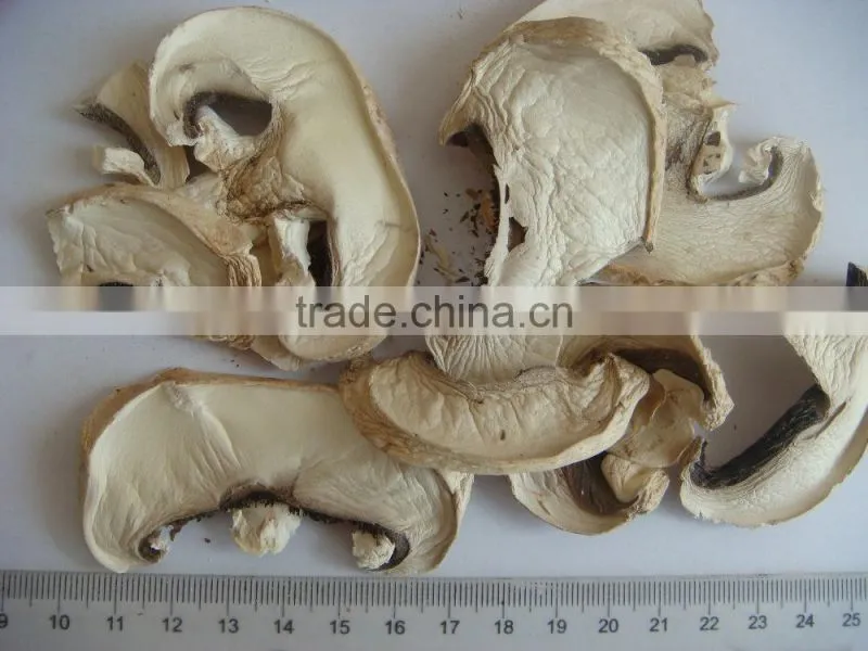 Hot product mushroom powder best selling products in japan