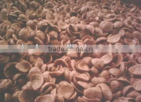 corn flakes production process