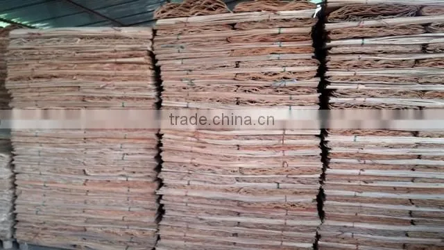 100% A grade Eucalyptus core veneer origin of Vietnam