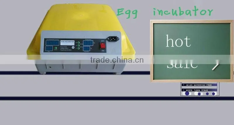 HHD household full automatic mini 48 eggs poultry incubator for sale with good quality EW-48