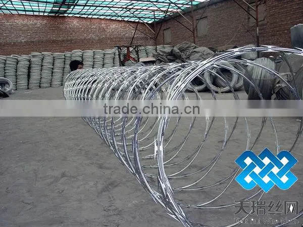 High quality galvanized razor wire with clips