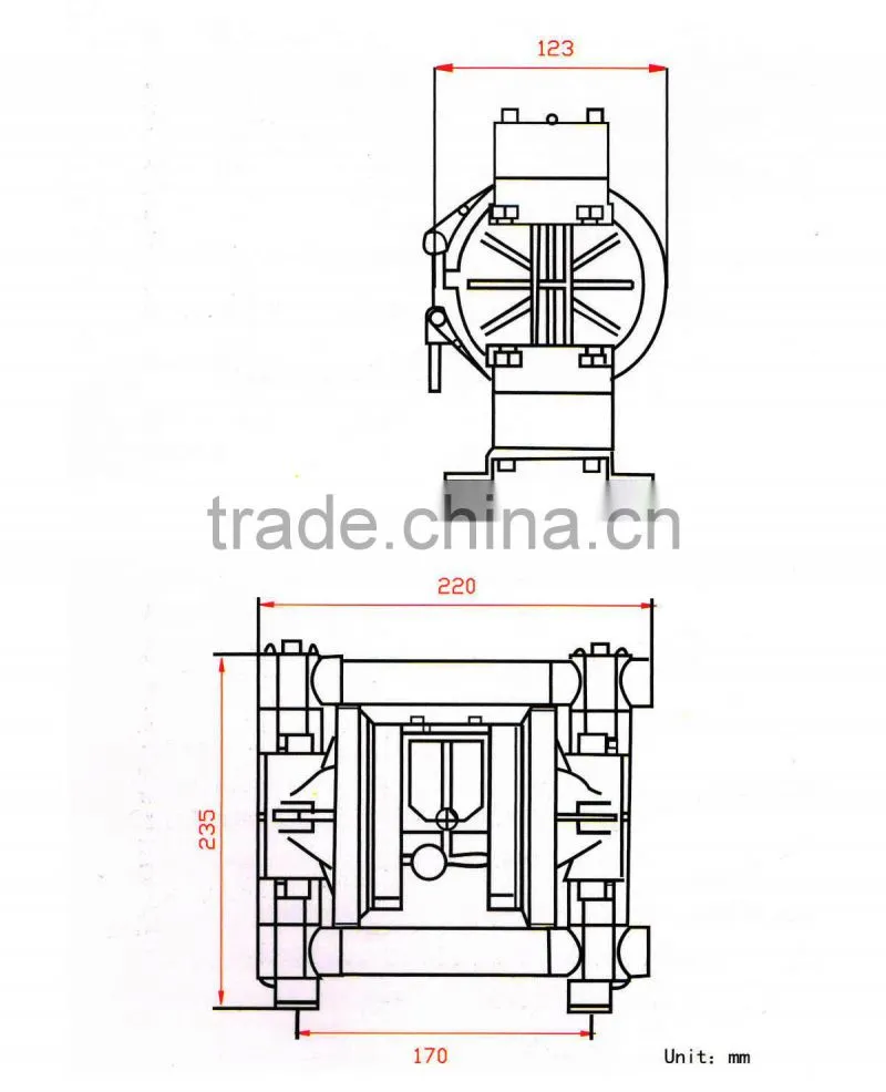 100 psi Air-operated Pneumatic Double Diaphragm Pump