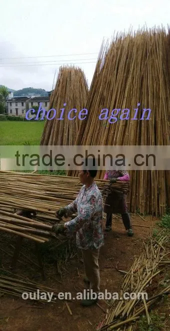 Raw material nature color Tonkin bamboo poles/Tsinglee bamboo