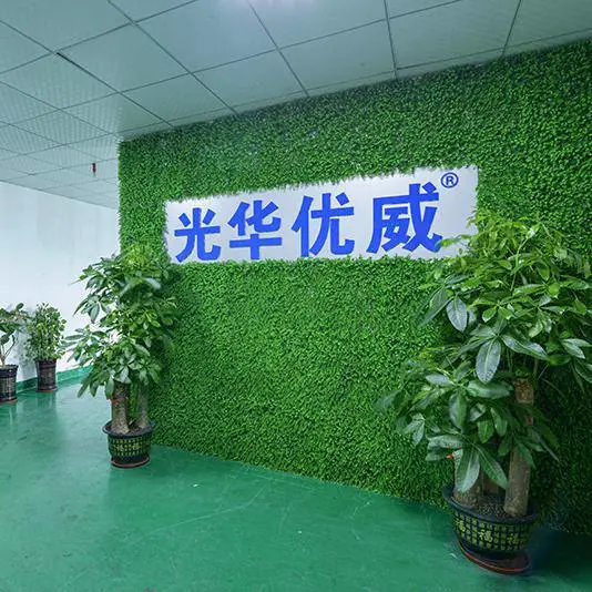 Dongguan Guanghua Youwei Technology Co., Ltd. company overview - view 1