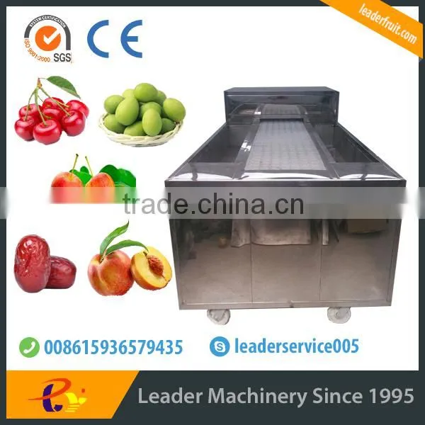 Leader cherry stoning machine with Skype:leaderservice005