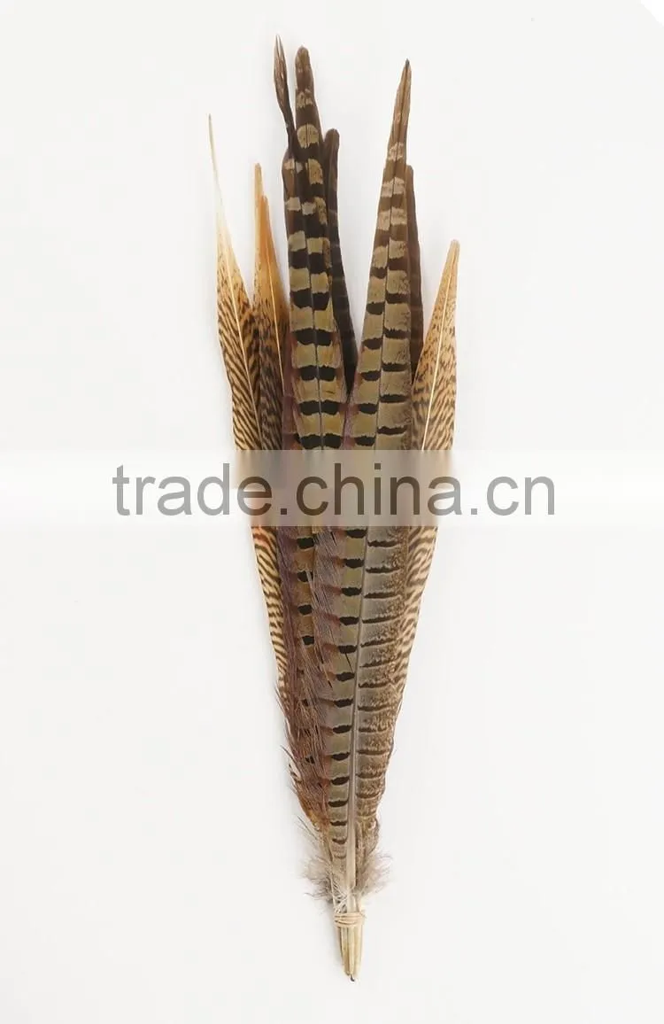 Carnival decoration pheasant tail feather, colour ostrich feather wholesale