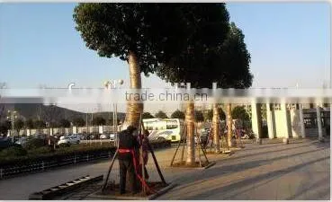 Hot sale PP nonwoven fabric for tree trunk protection