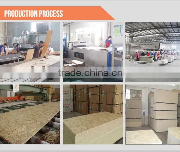 Cheap OSB sheet made in china