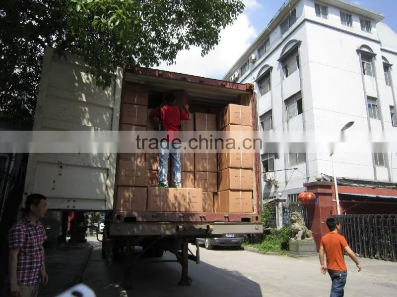 DZ-400 Stand Type Food Vacuum Packing Machine with CE