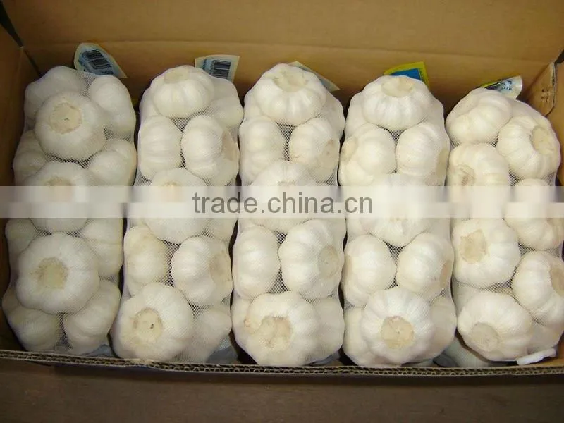 Chinese Fresh Garlic