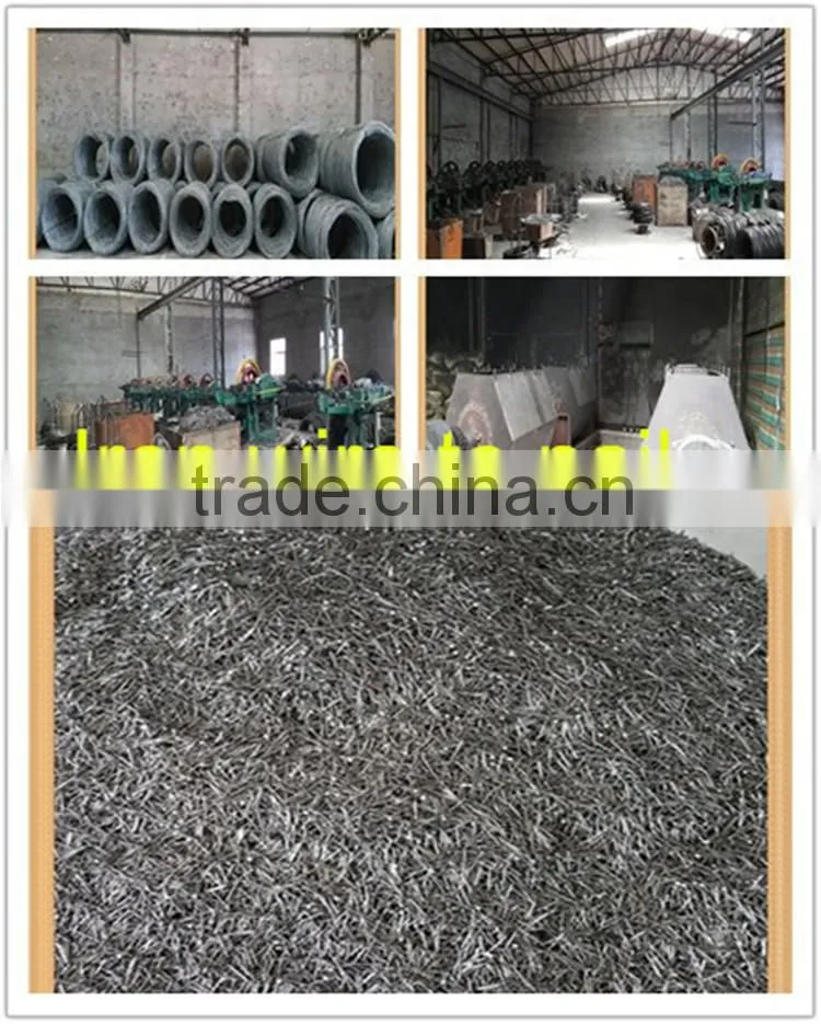 low price high quality facoty produce common Iron wire nail from hebei factory common nail