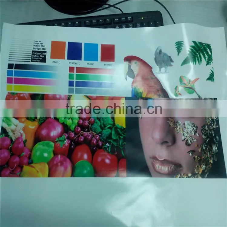 small memory cards printer machine low cost LED UV flatbed printer machine for phone case 1440dpi