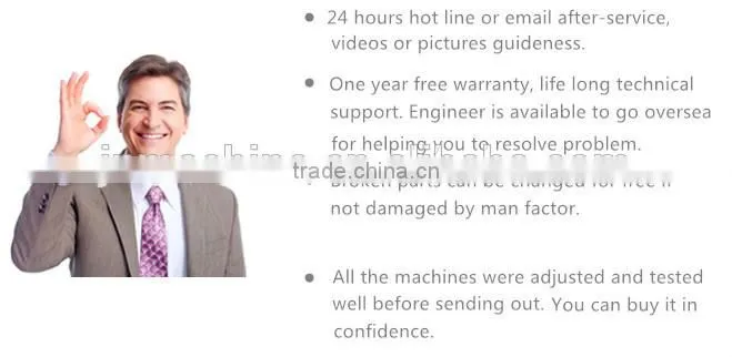 Hot Sale Automatic Bottles Carton Machine High Speed Cartoning Machine