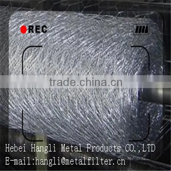 2015hot sale china supplier low price Stainless Steel Hexagonal Wire Netting