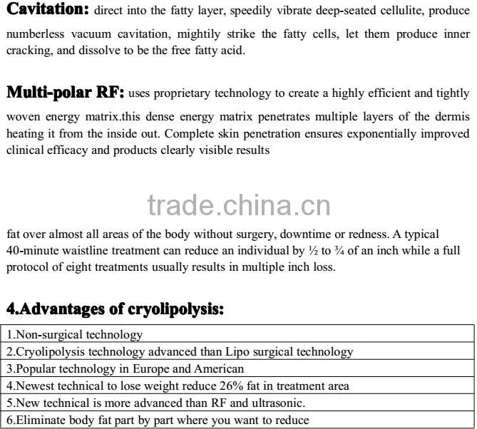 Best products cryolipolysis cool shape machine/portable cryolipolysis machine beco