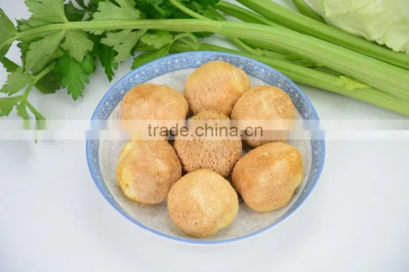 Wholesale Organic Dried Lion's Mane Mushroom, Monkey Head Mushroom