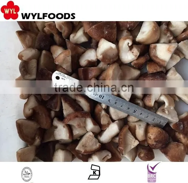 frozen mushrooms shiitake slices new crop high quality