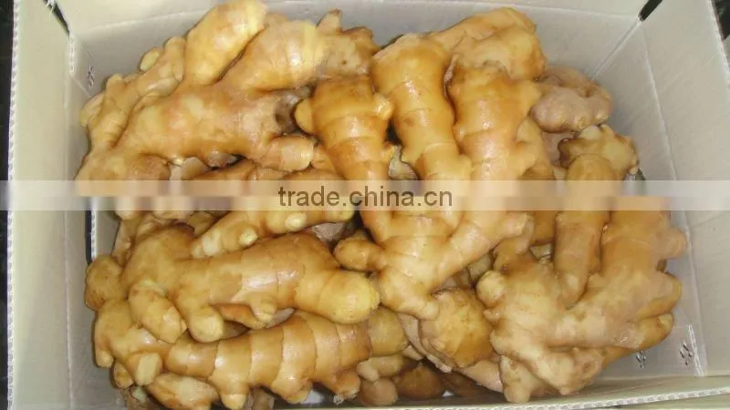 Organic fresh ginger