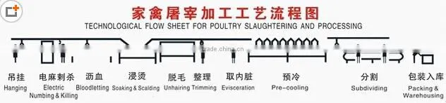halal meat processing machine for chicken