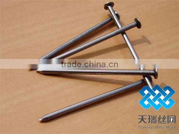 Nail/wire nail/common nails