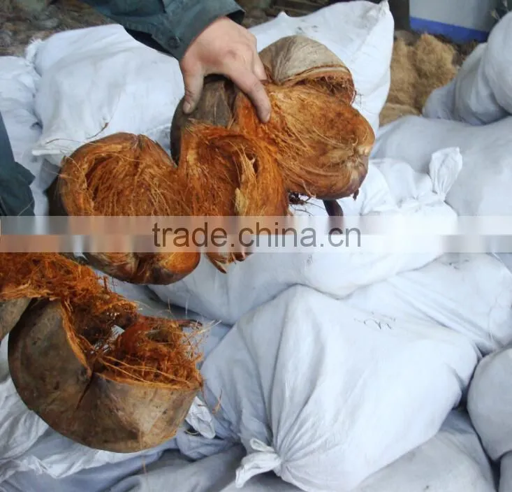 fiber extractor machine made in China to process coconut husks and oil palm empty fruit bunches