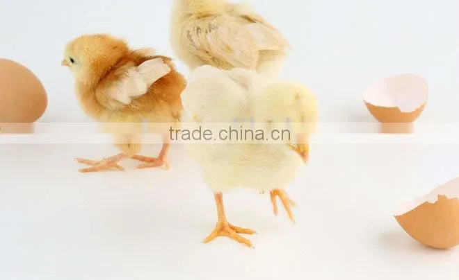 Egg hatching machine