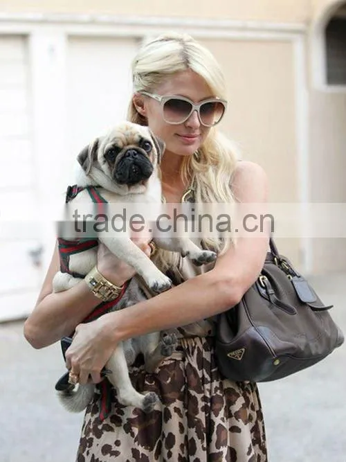 nice appearance dog collars,colorful pets leashes