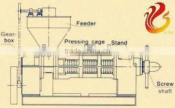 Automatic spiral oil press