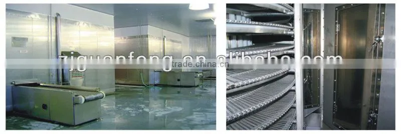 Professional Spiral Freezer Food Ice Cream Batch Freezer