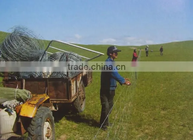 Hot Sale Electric Galvanized Field Iron Wire Cattle Mesh Fence