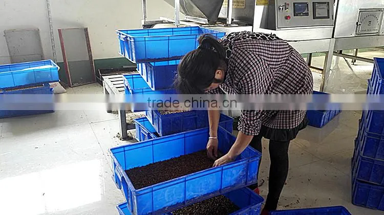 Microwave Dried Mealworms for Reptiles ;China Products Dried Mealworms