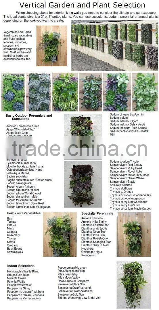 import cheap goods from china fairy garden supplies plastic planter