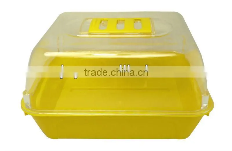children's garden pot ( Propagation Tray & Lid )