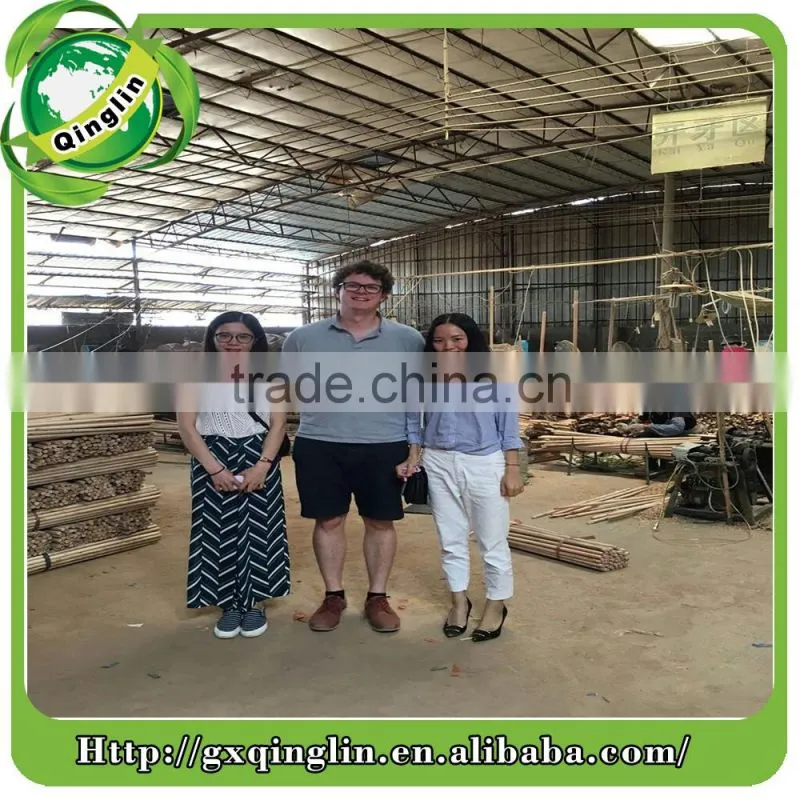 Dry smooth natural broom handle wood factory in China Guigang city