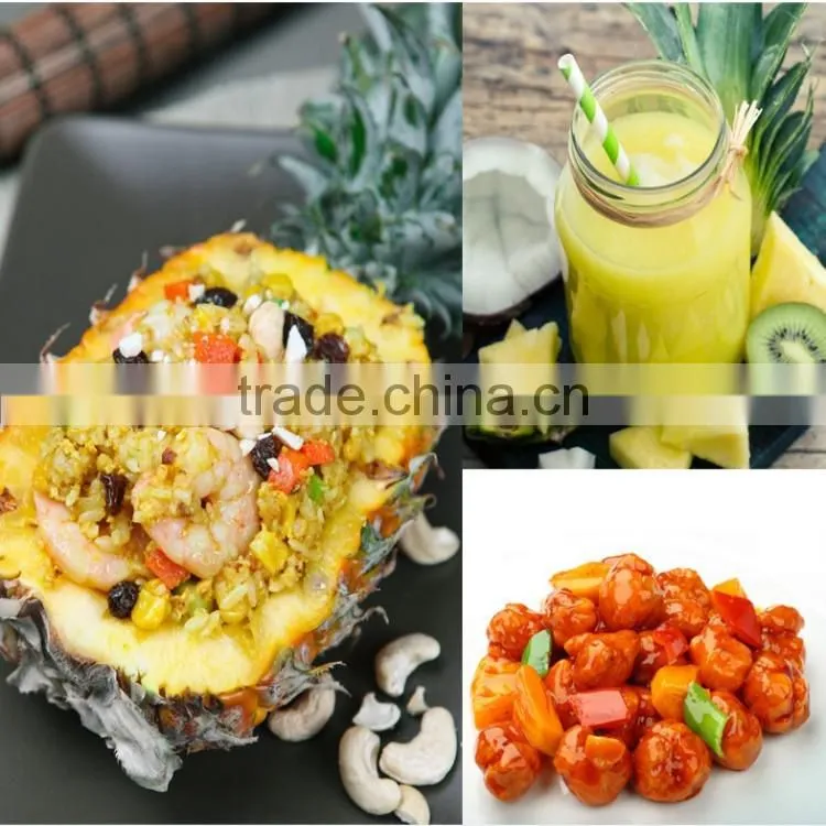 Kitchen Easy Tools Stainless steel Peeling Knife Cutter Pineapple Peeler Corer Slicer