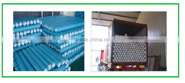 100mic China PE Tarpaulin roll Factory